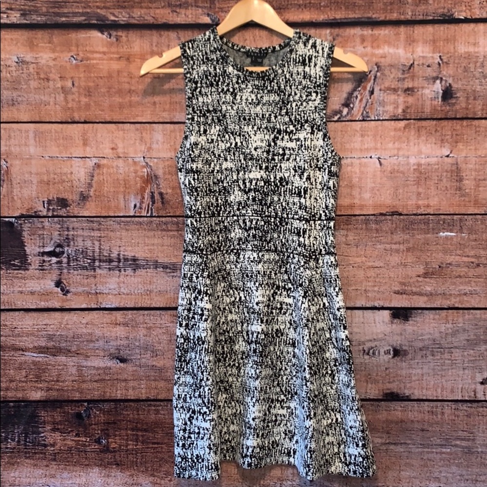 Theory Flare Dress
